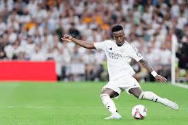 的资金支持 的资金支持