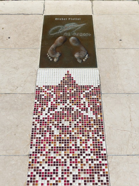 展示了其競 展示了其競