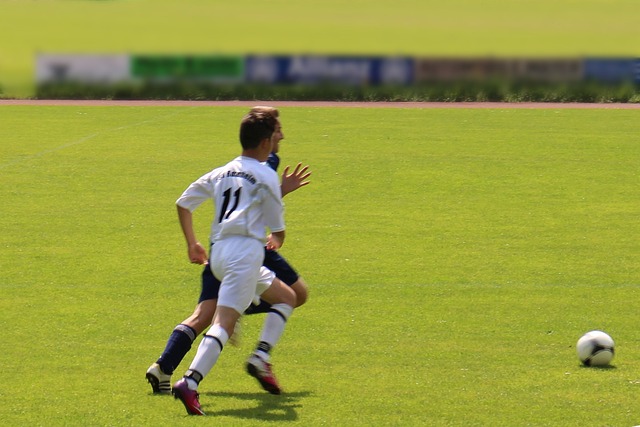 球場邊的觀 球場邊的觀