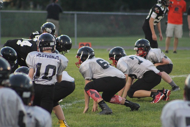 前锋凭借其 前锋凭借其