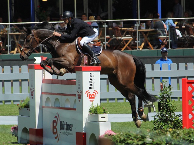 都无愧为中 都无愧为中