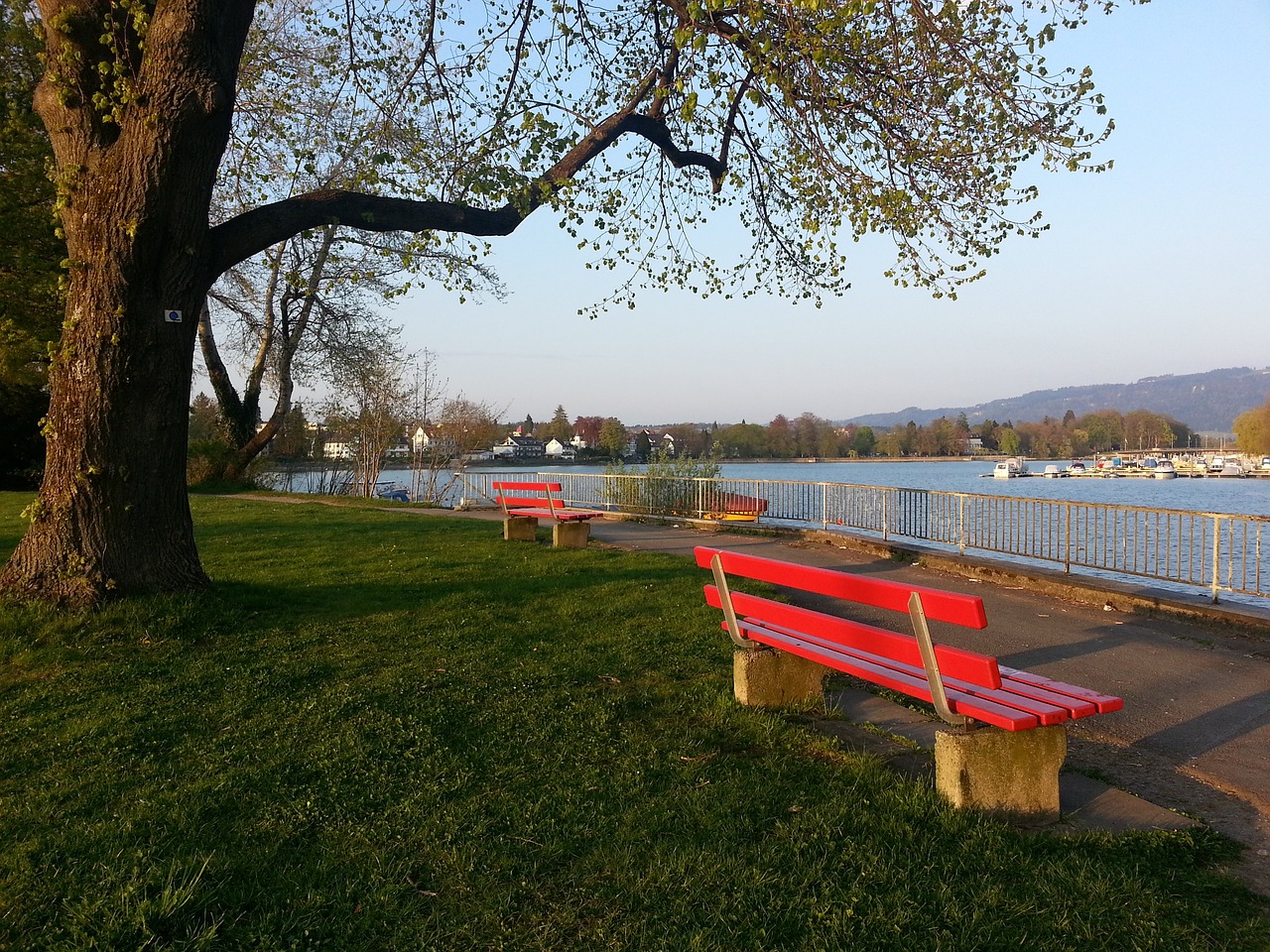 全英羽毛球 全英羽毛球