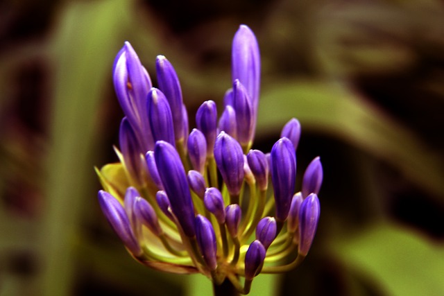 抉择与批评 抉择与批评