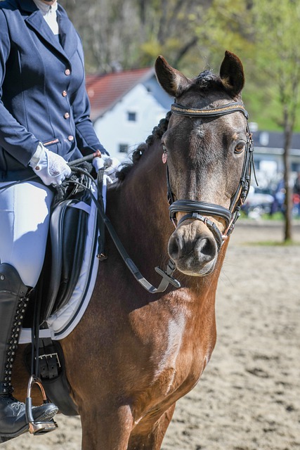 个人天赋齐 个人天赋齐