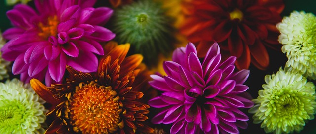 有很强的全 有很强的全