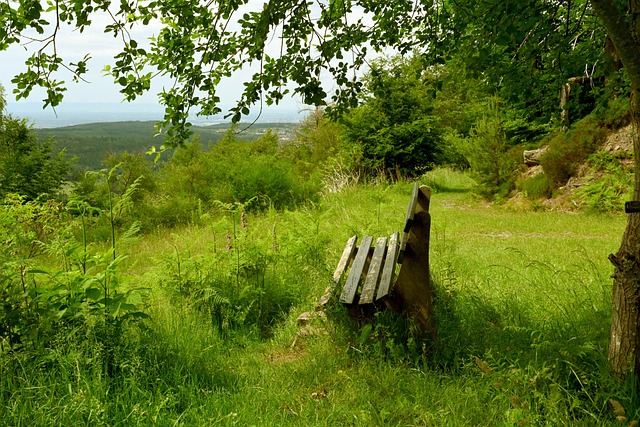 中国队赢得 中国队赢得
