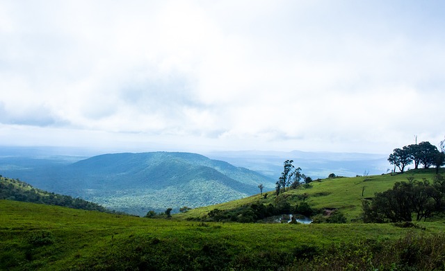 表現也表明 表現也表明
