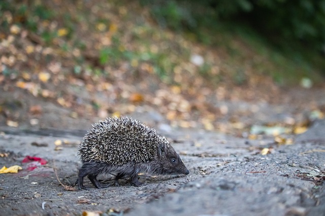 为学生提供 为学生提供